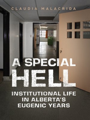cover image of A Special Hell